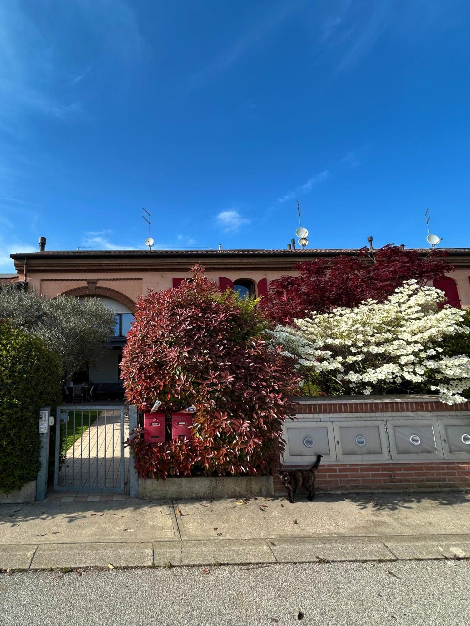 Soranza Suite Castelfranco Veneto Ngoại thất bức ảnh
